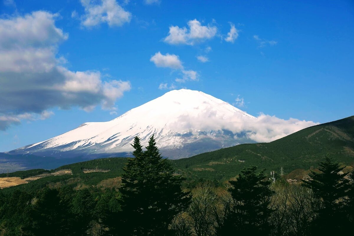 白い車と室内の様子