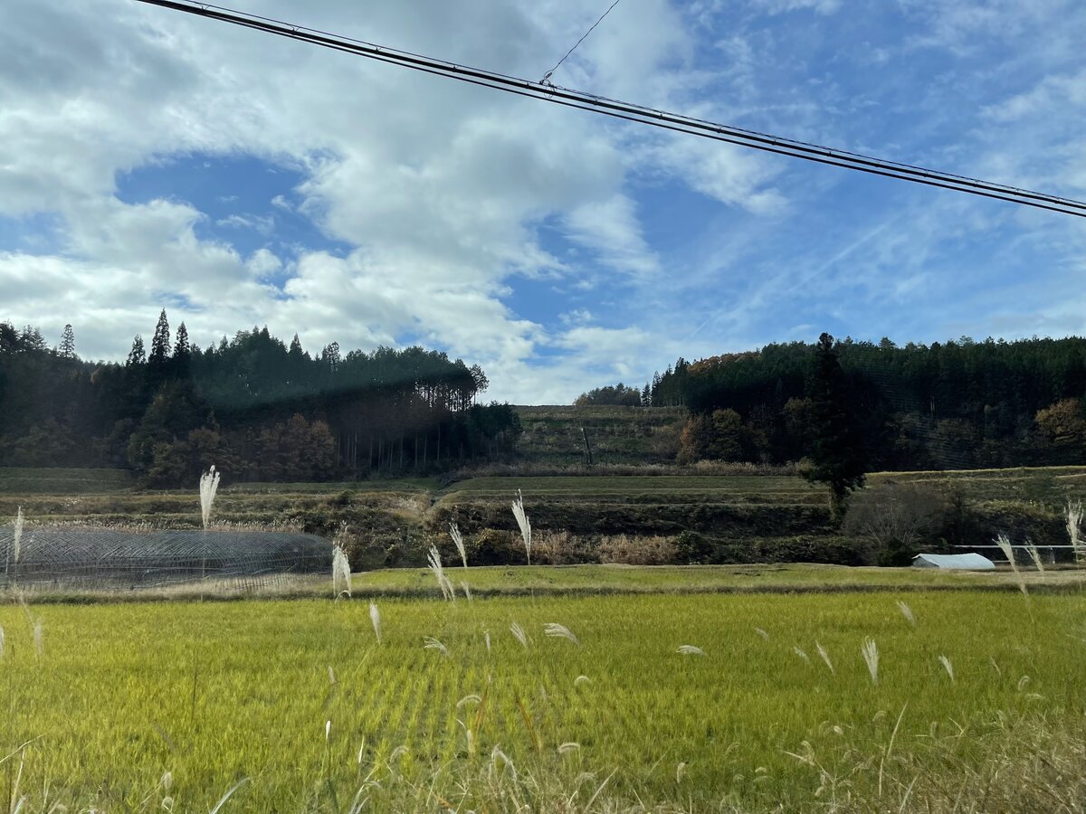 飛騨, 下呂, 高山市街, 飛騨エアパーク:道路標識と道路、自動車が写っている風景