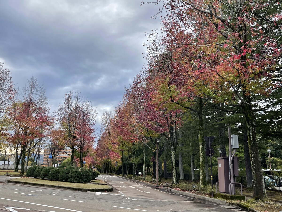 日本の道路、建物、人物
