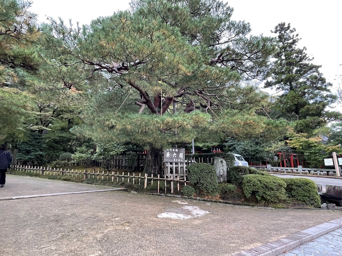 お濠と道路沿いの風景