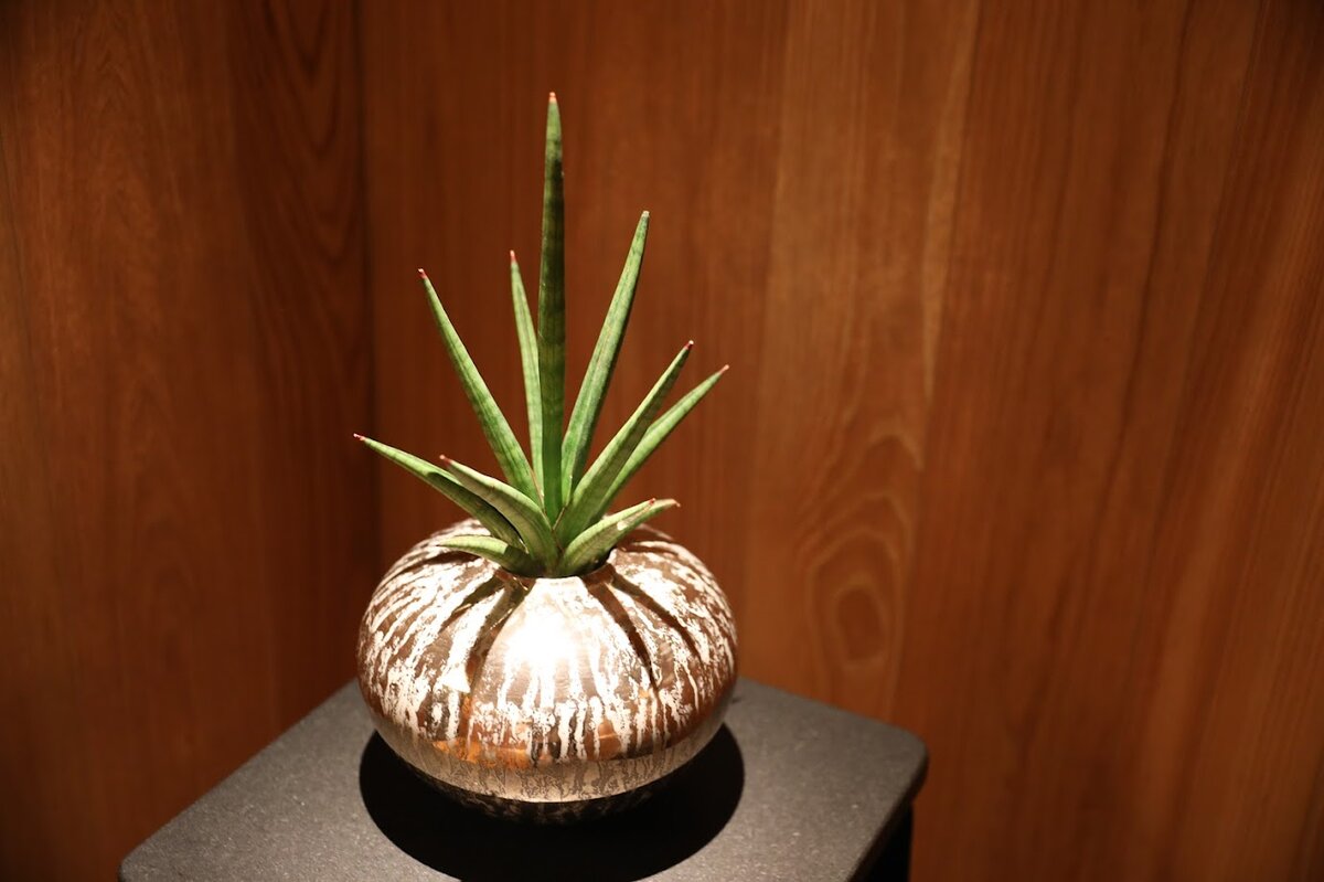 BVLGARI HOTEL：ホテルの室内、テーブルには水、果物、食器が置かれている