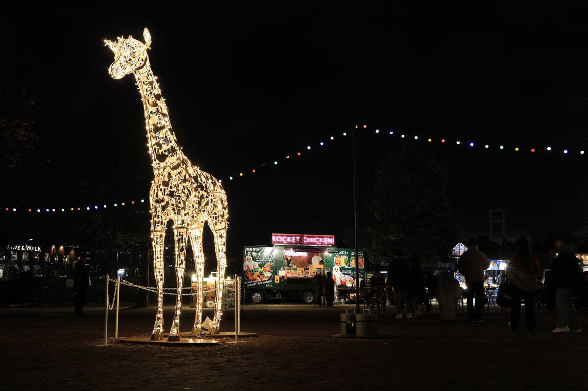 HYATT REGENCY：ハイアットリージェンシーの夜景
