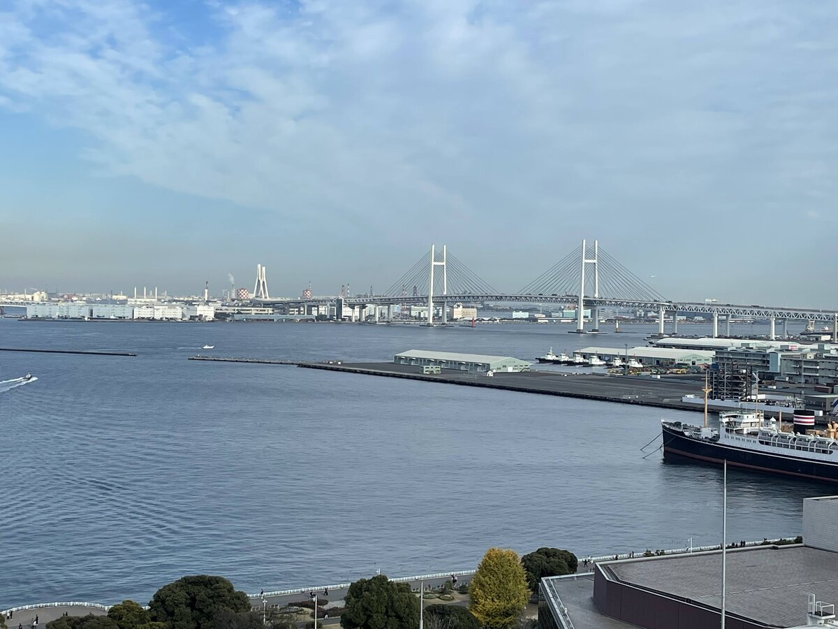 リビング　ハイアットリージェンシー横浜：ホテルの部屋、ソファ、ワイン