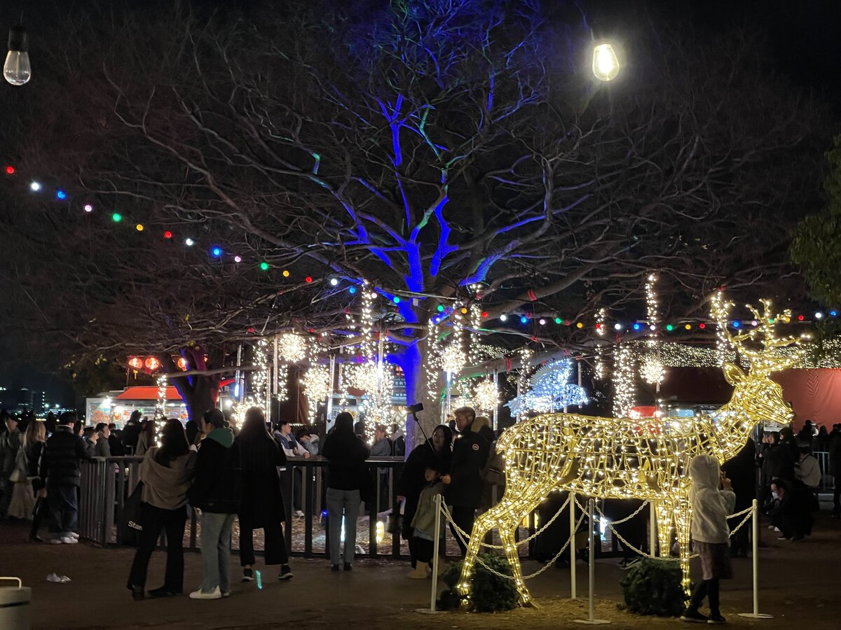 HYATT：ホテルの外観、クリスマスツリー、リース