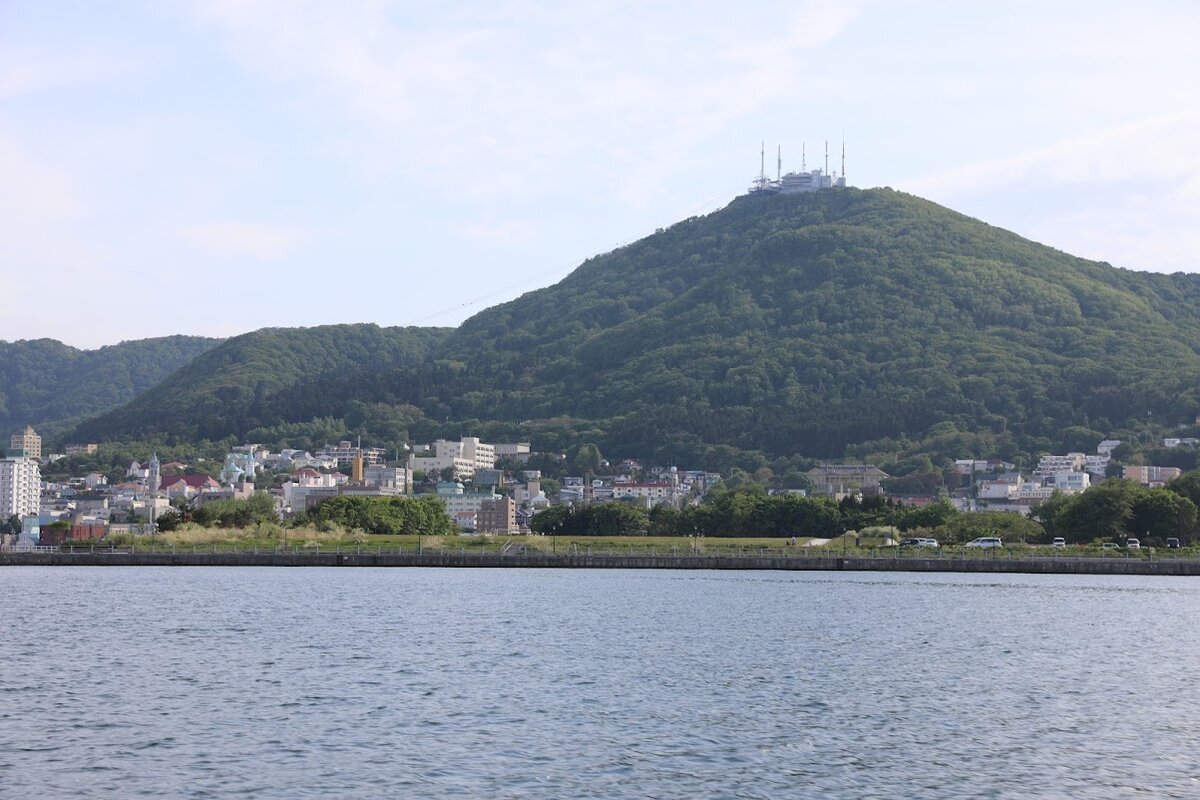 サラダ、ドレッシング