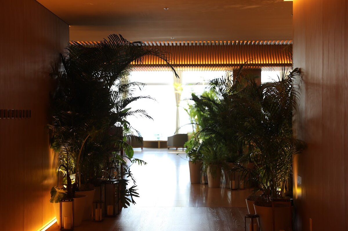 セロリの和え物と枝豆