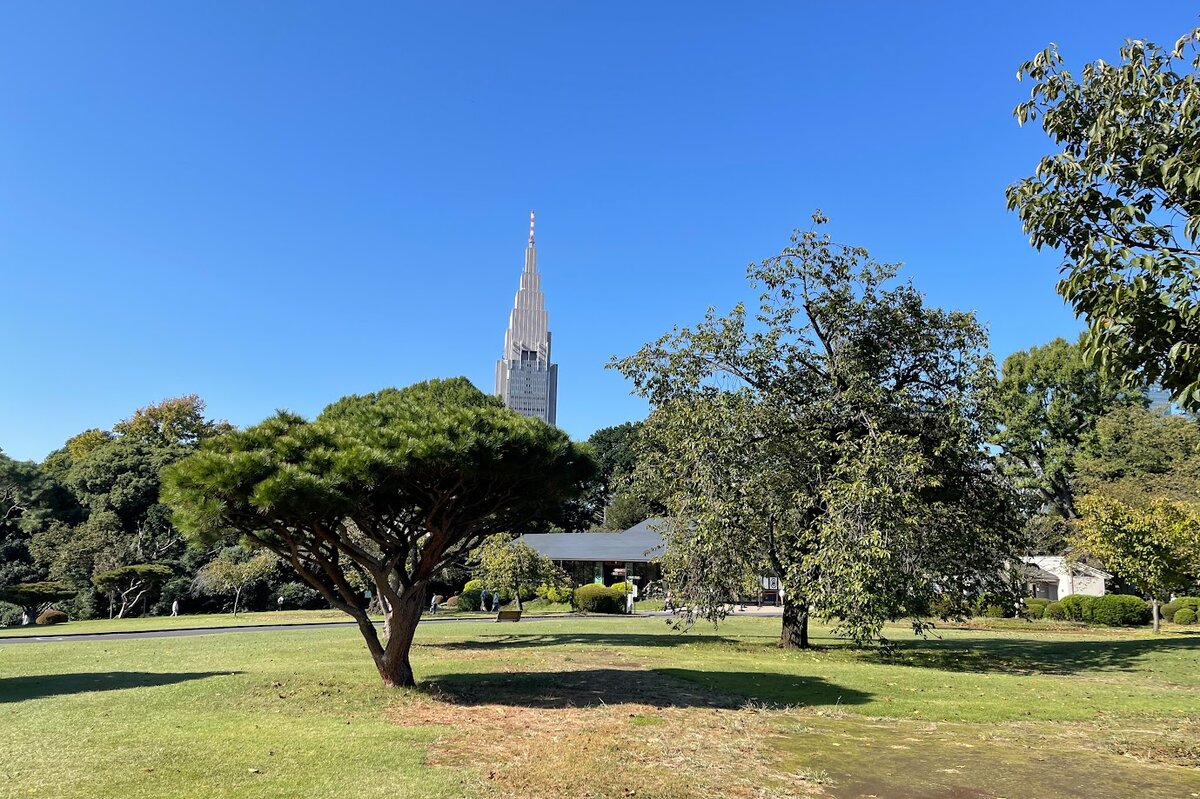 新宿御苑　：公園の風景、高層ビルが見える