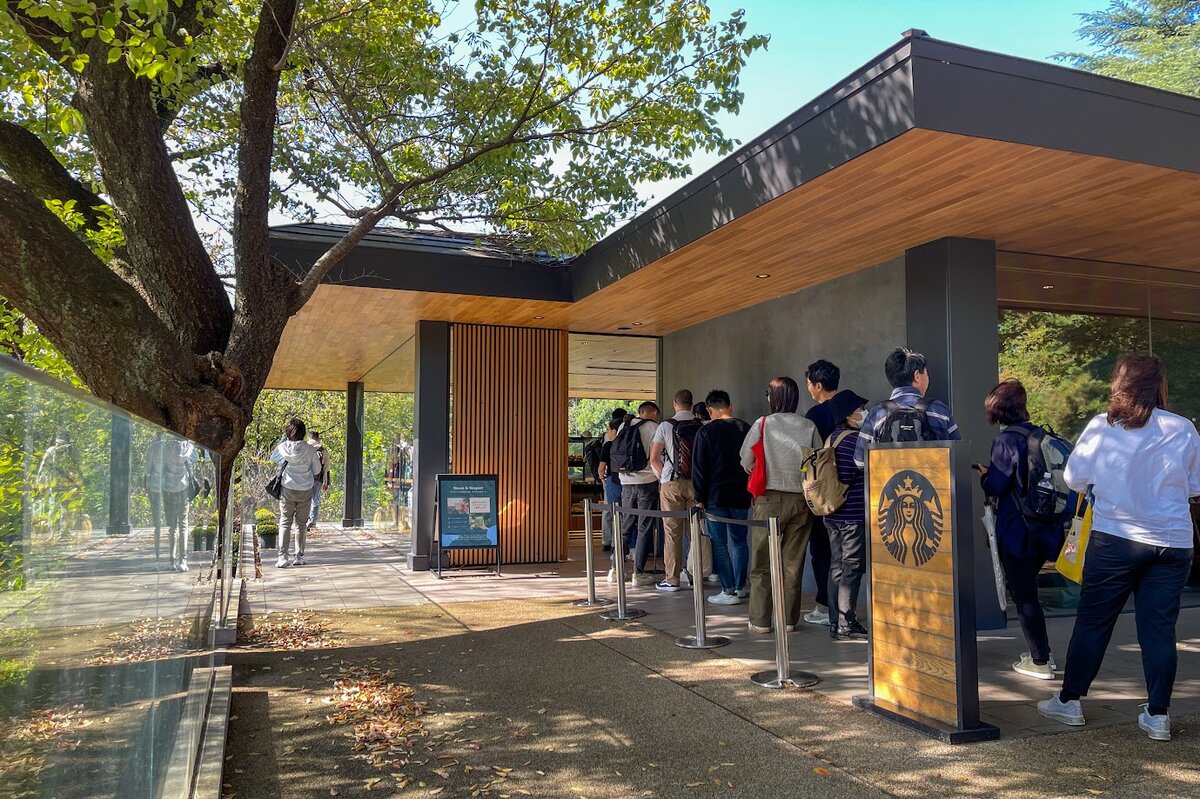 スターバックス コーヒー新宿御苑店：スタバの看板と木の影