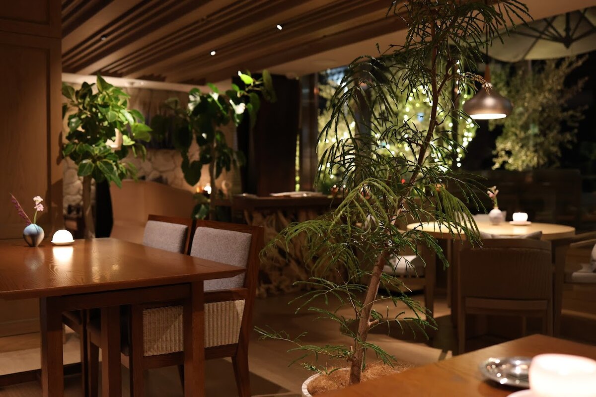 UMITO KAMAKURA KOSHIGOE：皿に盛られた魚料理