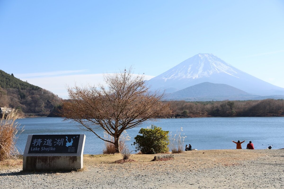 いちやまマート：ドラマホットスポットに出てきたスーパー