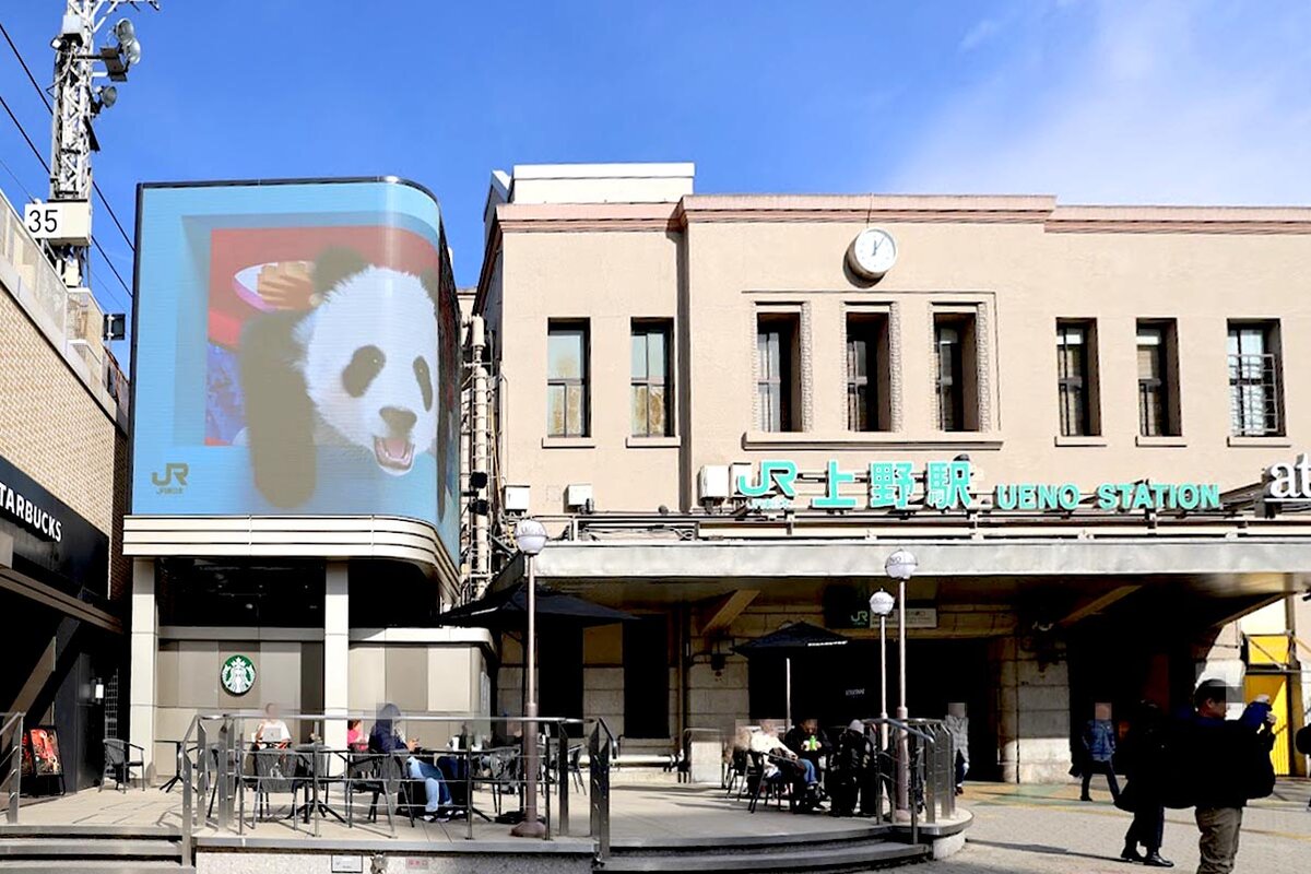 ラーメン、チャーシュー、煮卵