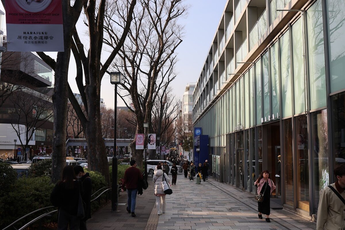 HARAJUKU 原宿表参道欅会 商店街振興組合：表参道の風景、歩行者が複数いる