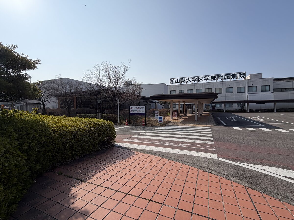 やまなし 桜のお花見マップ：桜の名所マップの看板