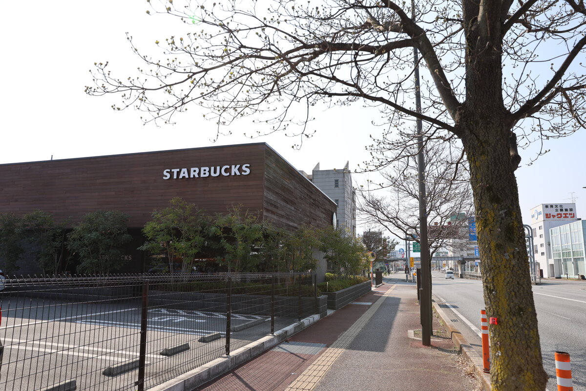 スターバックス コーヒー 甲府平和通り店：スターバックス店舗外観。駐車場と道路がある。