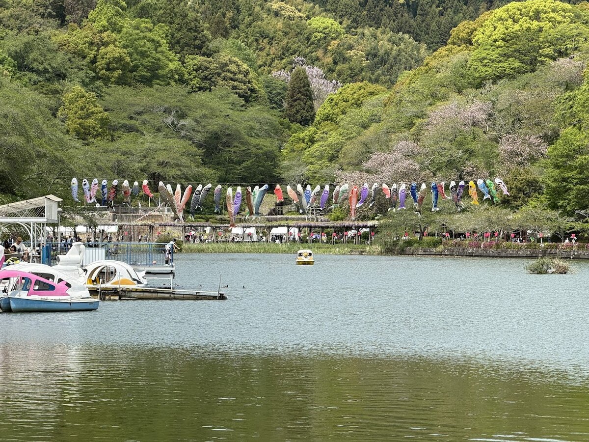 スターバックス コーヒー 藤枝蓮華寺池公園店：窓から見える景色と人物